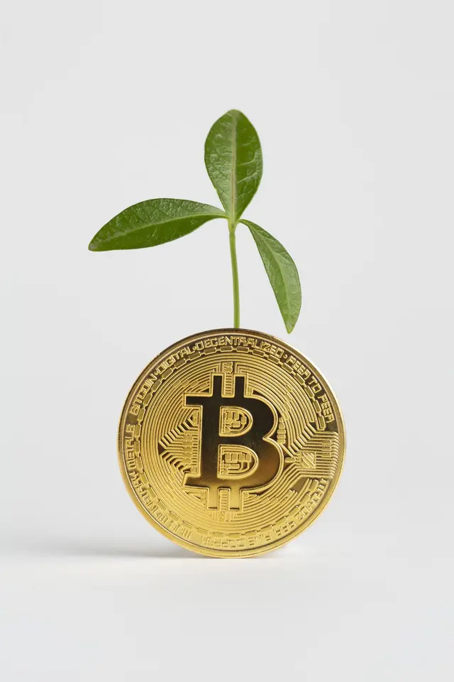 Mitä tehdä äskettäin hankkimallesi kryptovaluutalle?